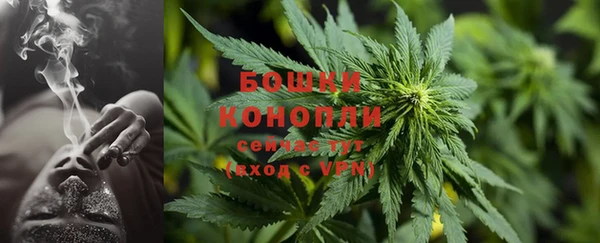 ПСИЛОЦИБИНОВЫЕ ГРИБЫ Кодинск