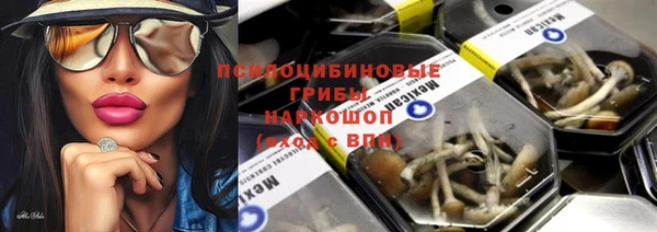 ПСИЛОЦИБИНОВЫЕ ГРИБЫ Кодинск