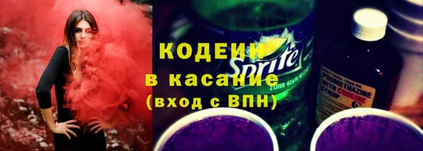 ПСИЛОЦИБИНОВЫЕ ГРИБЫ Кодинск