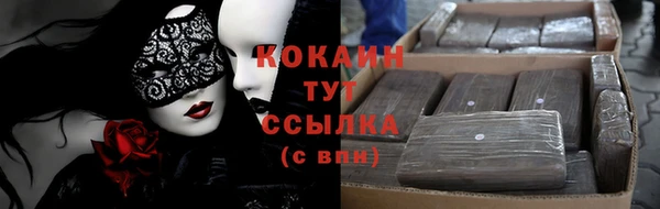ПСИЛОЦИБИНОВЫЕ ГРИБЫ Кодинск