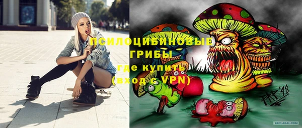 ПСИЛОЦИБИНОВЫЕ ГРИБЫ Кодинск