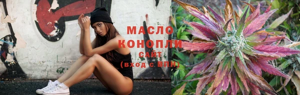 дмт Козловка