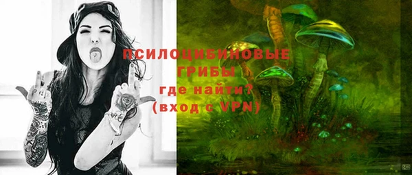 дмт Козловка