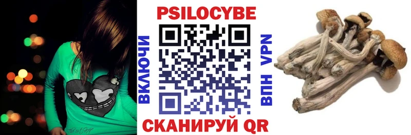 Купить где  Артёмовск  Псилоцибиновые грибы Psilocybe 